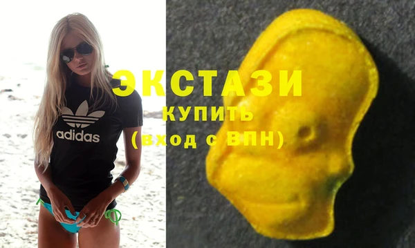 индика Абаза