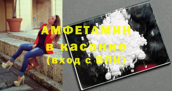 индика Абаза