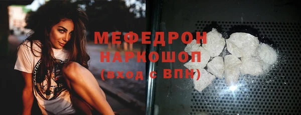 индика Абаза