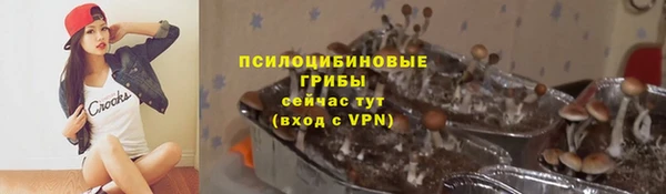 кокс Алексеевка