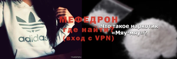 индика Абаза