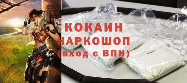 индика Абаза