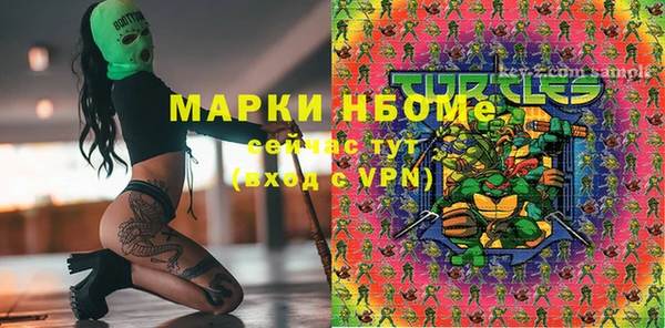 индика Абаза